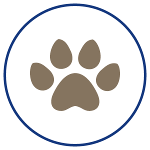 paw icon, mobile veterinary clinic, vet clinic, house calls, vet house calls, pet house calls, Stover Veterinary Services, Tiffin, Ohio